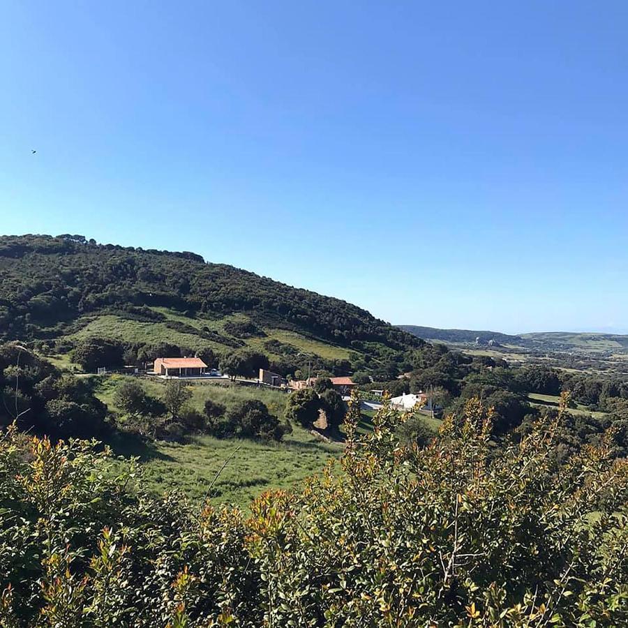 B&B La Tasgia Aggius Экстерьер фото