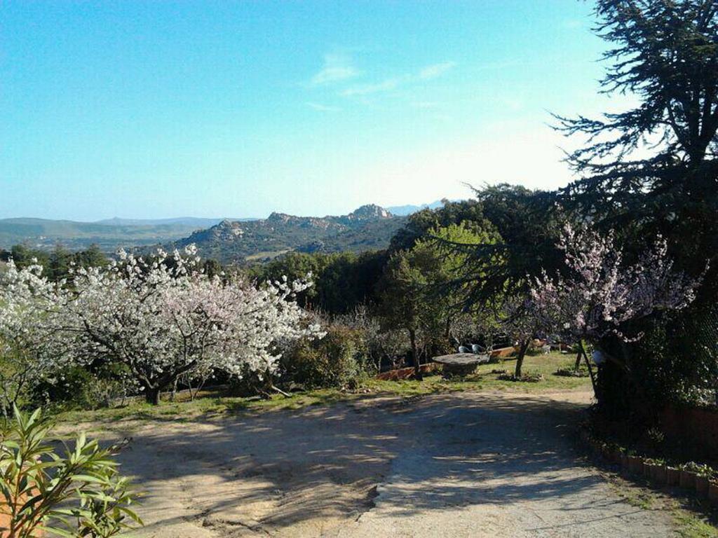 B&B La Tasgia Aggius Экстерьер фото
