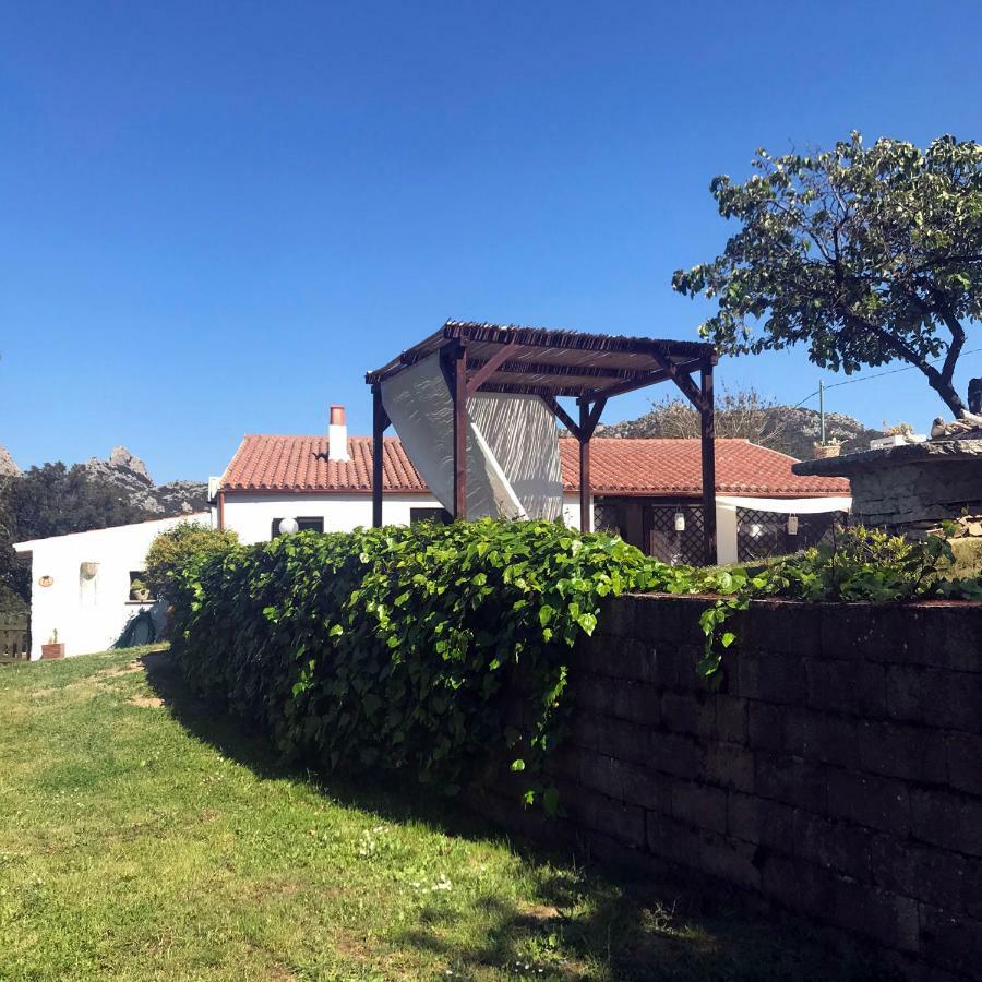 B&B La Tasgia Aggius Экстерьер фото